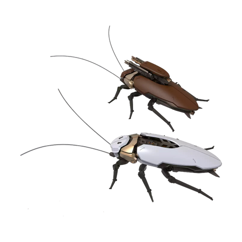 Guangdong Roach