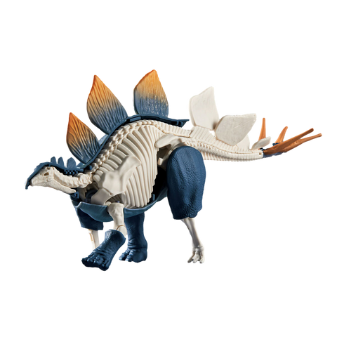 Plannosaurus Stegosaurus