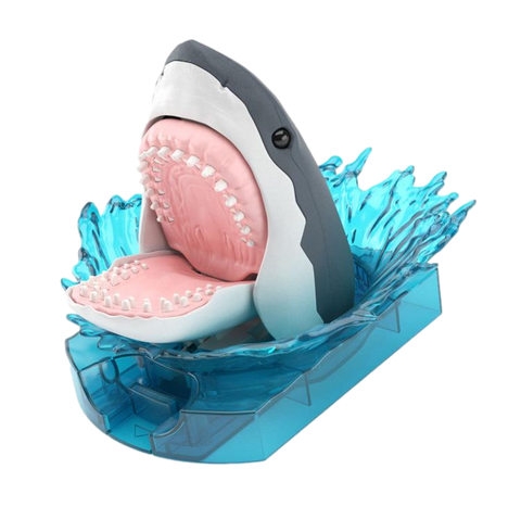 Exploring Lab Nature Great White Shark