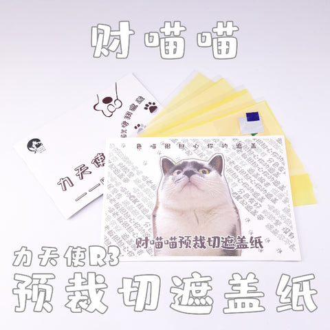 Fortune Meow Dynames R3 GK Masking Tape